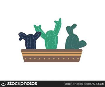 Plants of one type vector, cactus with thorns growing in pot flat style. Botanical flora and foliage,Mexican kind of flowers, decorative elements for home. Cactus Growing in One Flowerpot Isolated Plant