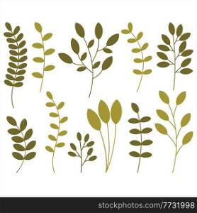 Plants on a white background. Vector illustration