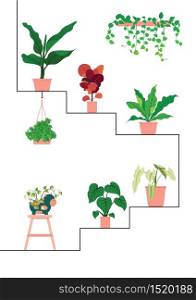 Plants potted collection the stair step line with vine plant hanging on the wall vector design