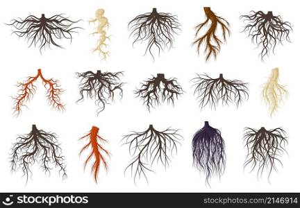 Plants roots systems, growing fibrous trees roots. Underground plants plants, trees branched root vector symbols set. Tree roots systems silhouettes. Root grow cultivation illustration. Plants roots systems, growing fibrous trees roots. Underground plants plants, trees branched root vector symbols set. Tree roots systems silhouettes