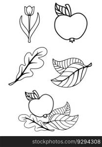 Plants. Set of plant elements - leaves, flowers, fruits. Oak leaf, flower, apple. Elements for the book of coloring. Illustrations with plants.	