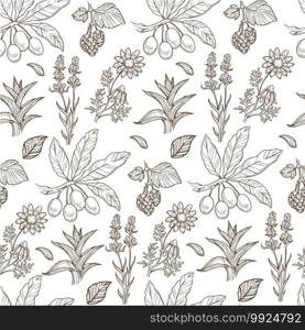 Plants used in alternative medicine cosmetics, seamless pattern of sea buckthorn and aloe vera leaves, blooming flowers. Hippophae berries on branch. Monochrome sketch outline, vector in flat style. Sea buckthorn and aloe vera, flowers and leaves seamless pattern
