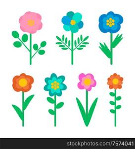 Plants, wild flowers isolated vector objects, nature elements. Buds with blue and pink or red petals, stem and leaves, woods greenery, biological species. Wild Flowers Isolated Objects, Nature Elements