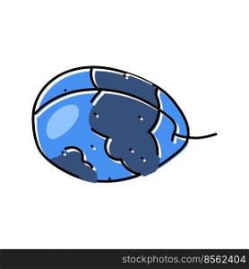 plum blue fruit color icon vector. plum blue fruit sign. isolated symbol illustration. plum blue fruit color icon vector illustration