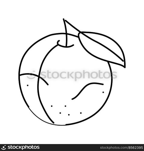 plum burgundy leaf line icon vector. plum burgundy leaf sign. isolated contour symbol black illustration. plum burgundy leaf line icon vector illustration