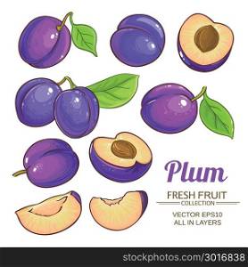 plum fruits vector set. plum fruits vector set on white background