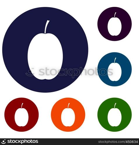 Plum icons set in flat circle reb, blue and green color for web. Plum icons set