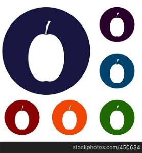 Plum icons set in flat circle reb, blue and green color for web. Plum icons set