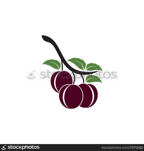 Plum logo vector icon design template