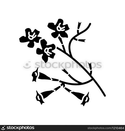 Plumeria black glyph icon. Ipe tree. Tropical blossom. Brazilian flower. South american plant. Exotic floret. Botany. Silhouette symbol on white space. Vector isolated illustration