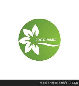 Plumeria flower logo template vector
