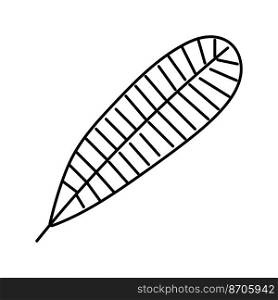 plumeria tropical leaf line icon vector. plumeria tropical leaf sign. isolated contour symbol black illustration. plumeria tropical leaf line icon vector illustration