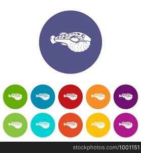 Poison fish icon. Simple illustration of poison fish vector icon for web. Poison fish icon, simple style
