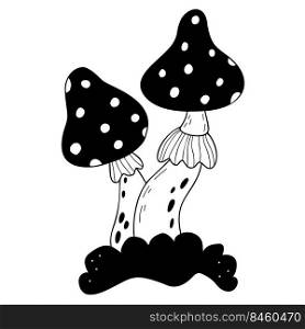 Poisonous forest fly agaric mushrooms. Magic ritual fly agaric. Vector illustration. Decorative hand drawn