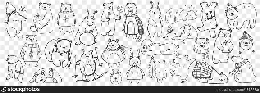 Polar and teddy bear doodle set. Collection of hand drawn funny bears in scarves and accessories doing sport, sleeping, enjoying life isolated on transparent background. Illustration of bear for kids. Polar and teddy bear doodle set