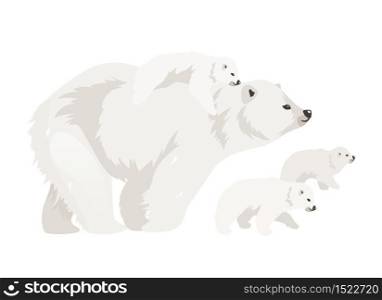 Polar bear family flat color vector illustration. Northern wild adult creature walking cubs. Marine mammal mother with baby. Arctic animal isolated cartoon characters on white background