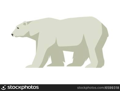 Polar white bear. Illustration of a northern animal.. Polar white bear. Illustration of a northern animal