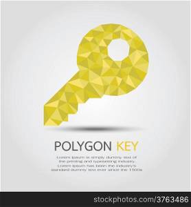 Polygon Key , eps10 vector format