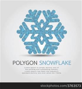 Polygon Snowflake , eps10 vector format
