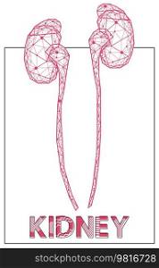 Polygonal human kidneys made of red lines and dots. Medical research of internal organs, innovative approach concept. Organ of human urinary system. Modern depiction of kidney for urine excretion. Polygonal human kidneys made of red lines and dots. Organ for urine excretion, human urinary system