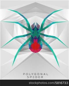 Polygonal spider. Geometric illustration. Polygonal creative poster. low poly illustration. Polygonal modern elements