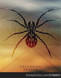 Polygonal spider. Geometric line illustration. Polygonal creative poster. low poly illustration. Polygonal spider. Geometric illustration
