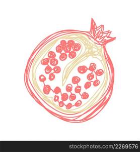 Pomegranate fruit. Hand drawn vector illustration. Pen or marker doodle sketch