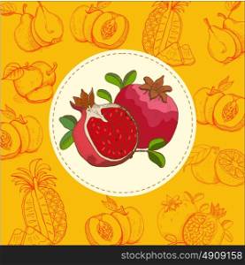 Pomegranate. Fruit. Vector illustration. The fruit is hand-drawn. Hand drawn vector illustration.