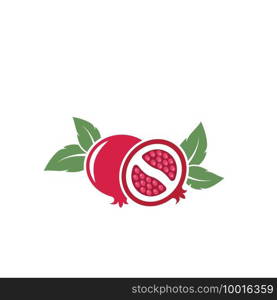 pomegranate fruits  icon vector illustration design template 
