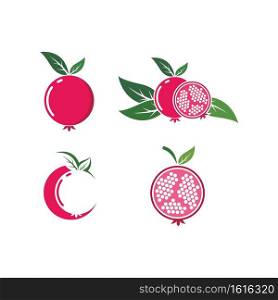 pomegranate fruits  icon vector illustration design template 
