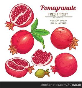 pomegranate fruits vector set. pomegranate fruits vector set on white background