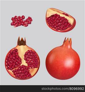 Pomegranate. Healthy natural fruits decent vector realistic illustration cut sliced pomegranate various pieces of red natural fruit healthy pomegranate illustration. Pomegranate. Healthy natural fruits decent vector realistic illustration cut sliced pomegranate various pieces