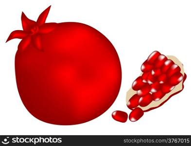 pomegranate isolated on a white background. 10 EPS
