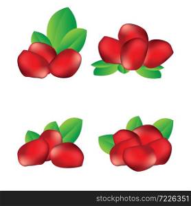 Pomegranate seed fruit vector illustration isolated on white.