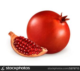 Pomegranate, vector illustration