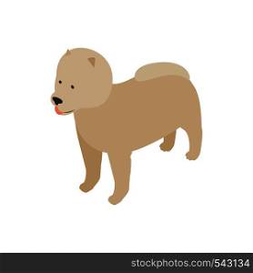 Pomeranian dog icon in isometric 3d style isolated on white background. Animals symbol . Pomeranian dog icon, isometric 3d style