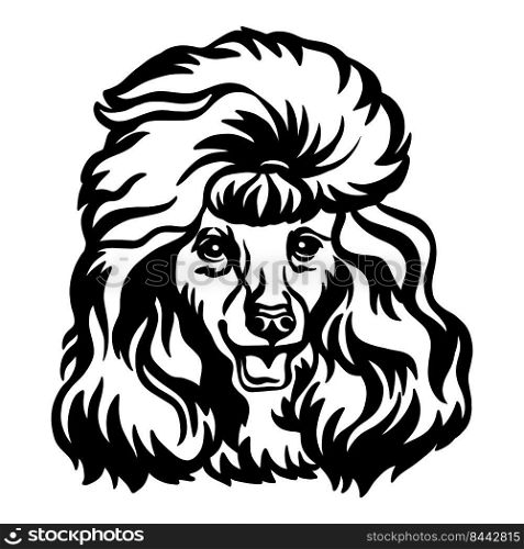 Poodle dog black contour portrait. Dog head in front view vector illustration isolated on white. For decor, design, print, poster, postcard, sticker, t-shirt, cricut,tattoo and embroidery. Poodle head dog vector black contour portrait