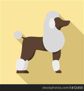 Poodle dog icon. Flat illustration of poodle dog vector icon for web design. Poodle dog icon, flat style