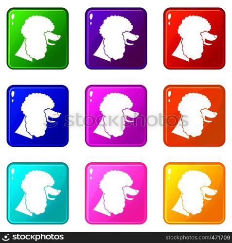 Poodle dog icons of 9 color set isolated vector illustration. Poodle dog icons 9 set