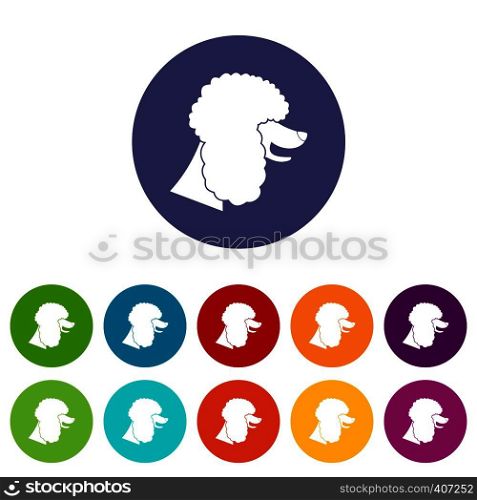 Poodle dog set icons in different colors isolated on white background. Poodle dog set icons