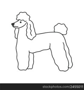 Poodle dog stands doodle style vector illustration. Fluffy curly white domestic pet isolated object. Cute groomed dog cartoon. Poodle dog stands doodle style vector illustration