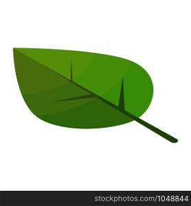 Poplar tree leaf icon. Isometric of poplar tree leaf vector icon for web design isolated on white background. Poplar tree leaf icon, isometric style