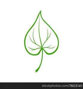 Poplar tree leaf isolated outline icon. Vector verdant linden leafage, realistic elm silhouette. Green linden or poplar tree leaf isolated