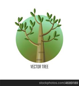 Poplar tree with green leaves. Vector tree round icon. Tree forest, leaf tree isolated, tree branch nature green, plant eco branch tree, organic natural wood illustration. Vector illustration. Poplar Tree with Green Leaves.