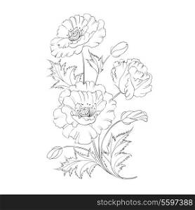 Poppies flower freehand isolated on a white background. Vector illustration.
