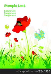 Poppy field with butterflies, vector illustration
