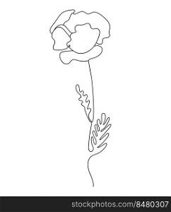 Poppy flower. Linear hand drawn minimalist drawing, continuous line. Vector illustration. Outline plant flower 