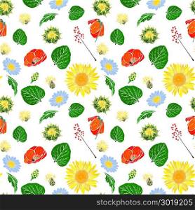 poppy, sunflower, chamomile, green leaf and branch with berries seamless pattern isolated on white background