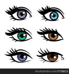 Popular colors vector female eyes isolated on white background, vector illustration. Popular colors female eyes