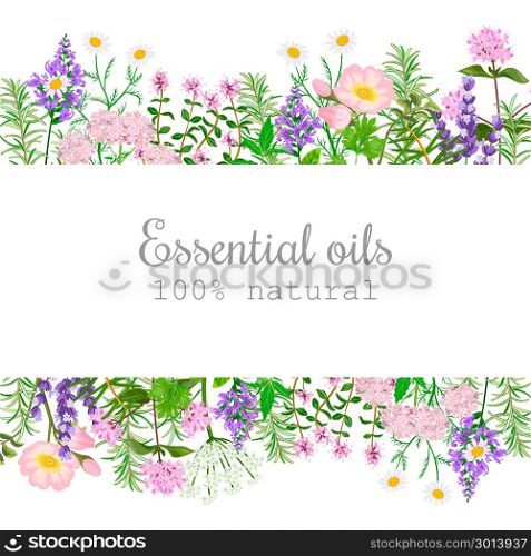 Popular essential oil plants label set. badge with text. Peppermint, lavender, sage, melissa, Rose, Geranium, Chamomile,. Popular essential oil plants label set. badge with text. Peppermint, lavender, sage, melissa, Rose, Geranium, Chamomile, oregano etc For cosmetics spa health care aromatherapy, advertising tag